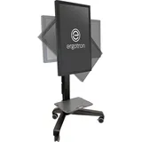 Ergotron Neo-Flex Mobile MediaCenter UHD 127
