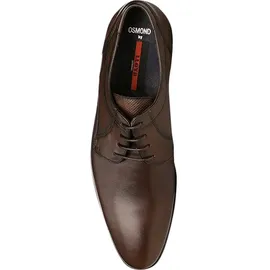 LLOYD Osmond dunkelbraun 40