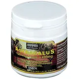 Hannes Pharma Nutricon GmbH & Co. KG Astragalus Vegi-Kaps