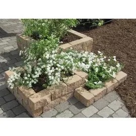 Diephaus Mauerstein 20 x 10 x 10 cm Sandstein