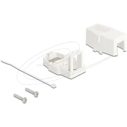 Delock Gehäuse mit modularen Einsätzen - Keystone-Oberfläche montierte Box
