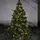 Star Trading LED-Baummantel Lichterkette 2 m warmweiß