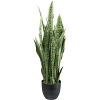 Creativ green Künstliche Zimmerpflanze »Sanseveria«, mit detailgetreuen Blättern grün