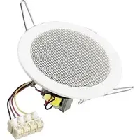 Visaton  DL 10 - 100 V