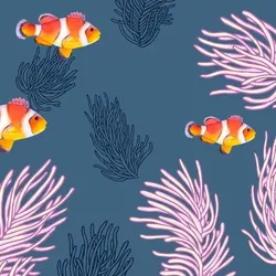 240 Duni Tissue-Servietten 33 x 33 cm Clown Fishes 3-lagig