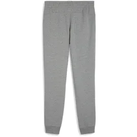 Puma teamGOAL Casuals Jogginghose Grau XS