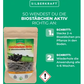 Silberkraft Biostäbchen Aktiv 50 g 1 St.