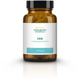 HEIDELBERGER CHLORELLA Sam S-adenosylmethionin Kapseln 60 St.