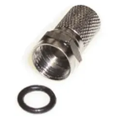 E&P F 100, Weiblich, 2 Stück(e)