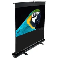 Elite Screens F72NWV 146x110 4:3