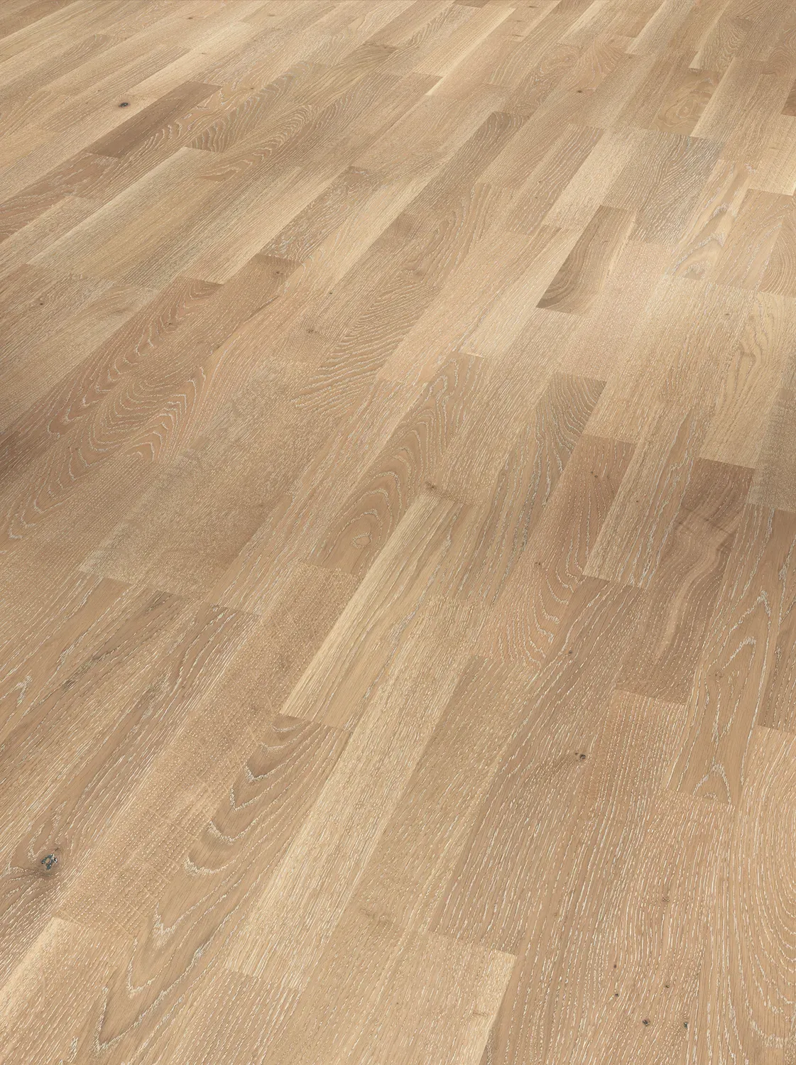 Parador Basic 11-5 Parkett Eiche Weißpore weiß Rustikal matt lack Schiffsboden 3-Stab 2200x185x11.5 mm