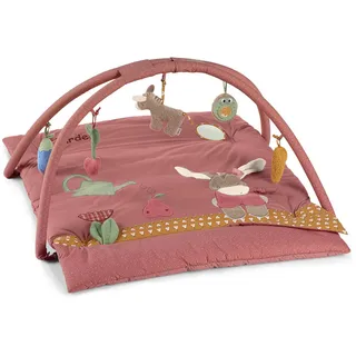 Sterntaler Spielbogen Emmily für Babys mit Funktionen