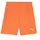 Puma teamGOAL Shorts Jr 705753