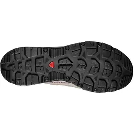 Salomon Techamphibian 5 Wanderschuhe - Castlerock / Willow / Black - EU 42 2/3