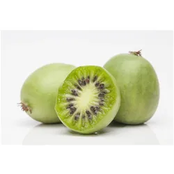 Actinidia arguta, Kiwibeere, 150–200 cm, winterhart