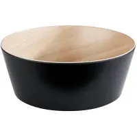APS Frida schwarz 3,4 l