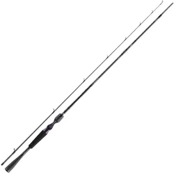 Daiwa Prorex AGS BC 2.40m 120g Baitcast-Rute