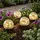 garden hero Kugelleuchte Glas 23,0 cm 4er Set warmweiß