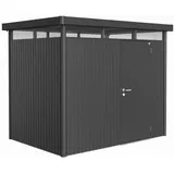 Biohort HighLine H2 2,75 x 1,95 m dunkelgrau-metallic Einzeltür
