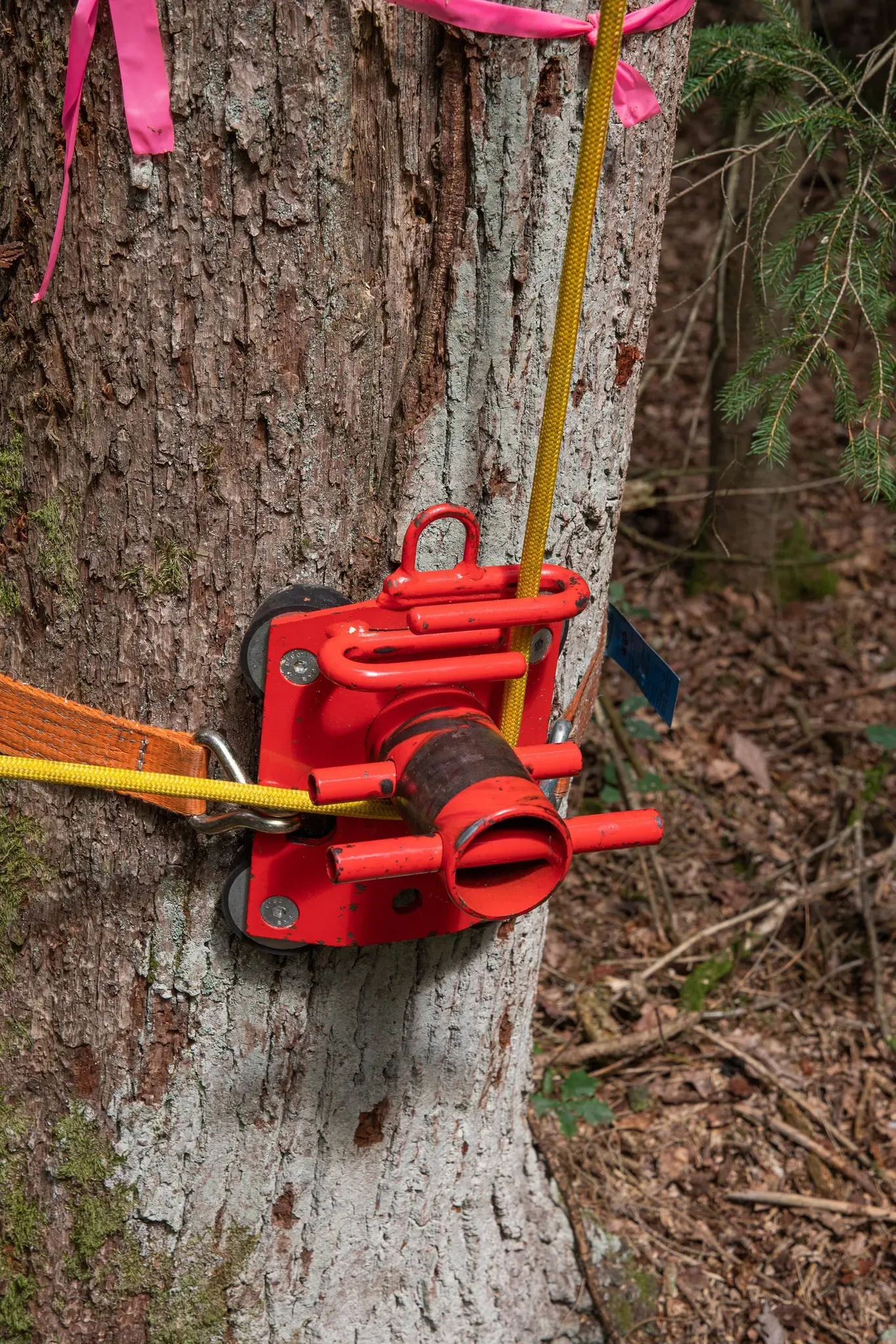 Tree Runner Rigging-Poller/Abseilbremse P500