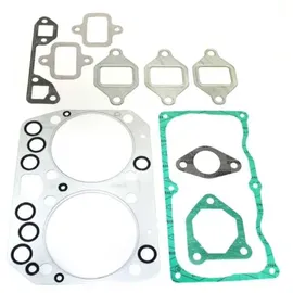 PAYEN Dichtungssatz, Zylinderkopf DV500
