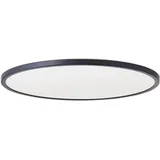 Brilliant Brennan 1 Stk. 54 cm schwarz/weiß