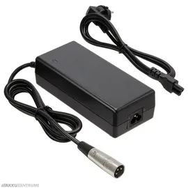 Phylion Akku Ladegerät 29,0V 2,0A