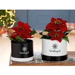 Gilde Metall Pflanztopf Winterzeit" 21137"