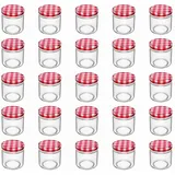 Intirilife Einmachglas 200 ml 25 St.