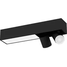 Philips Hue White & Col. Amb. Centris Spot 2 flg. Schwarz Lampe 2200 - 6500