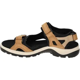 ECCO OFFROAD YUCATAN Damen Braun 37