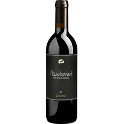 Pastoret 50 cl Catalunya DO 2022, Bio Rotwein (0.5l), Biowein
