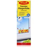 AEROXON Fenster Fliegenfallen Früchte 4 St.