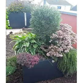 Palatino Lotte Ø 30 x 30 cm Anthrazit