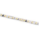 Barthelme 50413534 LED-Streifen mit Lötanschluss 24V 5m Naturweiß 5m