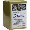 Salbei