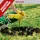 Practixx PX-EB-52 Benzin-Erdbohrer