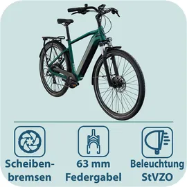 Tretwerk Onyx 2023 28 Zoll RH 52 cm dunkelgrün metallic