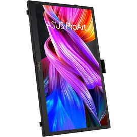 Asus ProArt PA169CDV 15,6" schwarz