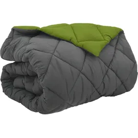 vidaXL Winterbettdecke Grün und Anthrazit 200 cm Mikrofaser