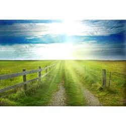 Fototapete PAPERMOON "Landschaft Meer und Sonne", bunt (mehrfarbig), B:4m L:2,6m, Vlies, Tapeten