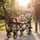 MIWEBA Bollerwagen MB-20 faltbar Beige/Bordeaux rot