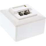 InLine Cat.5e Anschlussdose, AP/UP 2x RJ45 Buchse, RAL 9010, weiß