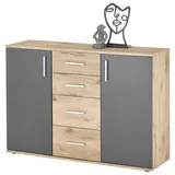 HBZ Sideboard 120 x 84 x 35 cm Grau matt / Eiche
