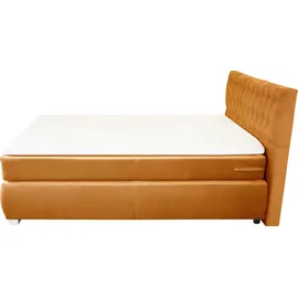 LEONIQUE Boxspringbett LEONIQUE "Rumba", gold (goldfarben), B:150cm L:213cm, Samtoptik (100% Polyester), Komplettbetten, Boxspringbett Seniorenbett Polsterbett, Taschenfederkern-Matratze in Härtegrad 3, in 4 Breiten, incl. Topper