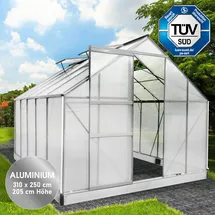Brast Gewächshaus Aluminium Silber HKP 6 mm 7,75 m2