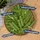 Lyra Pet Katzengras Sticks gefriergetrocknet 200 g