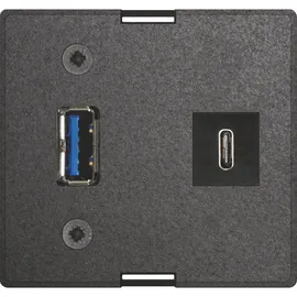 EVOline Evoline, Wechselmodul USB C & A + Netzteil passend zu Einbausteckdosen, schwarz