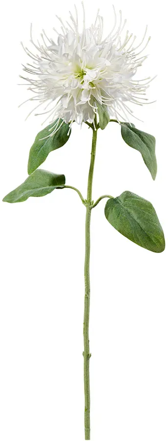 Blüten Zweig 73cm Monardo weiß