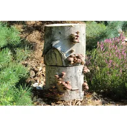Shiitake-Baumstamm BIO